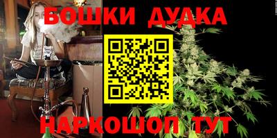 гашик Дубна