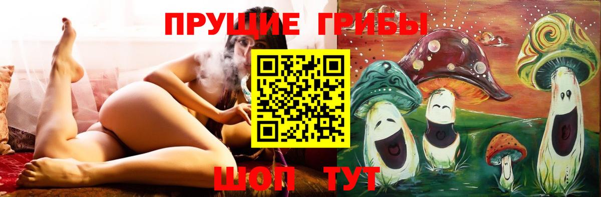 Галлюциногенные грибы прущие грибы  Вход с VPN  Городец 