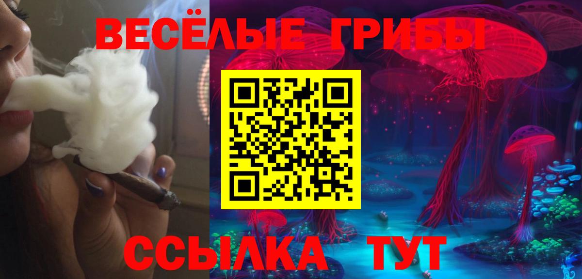Галлюциногенные грибы ЛСД Городец